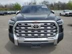 2022 Toyota Tundra Crewmax Platinum na sprzedaż w Brookhaven, NY - Rear End