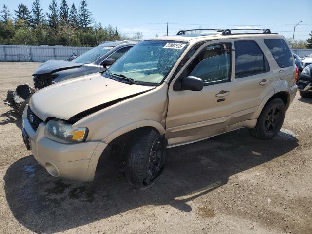 2007 Ford Escape Limited