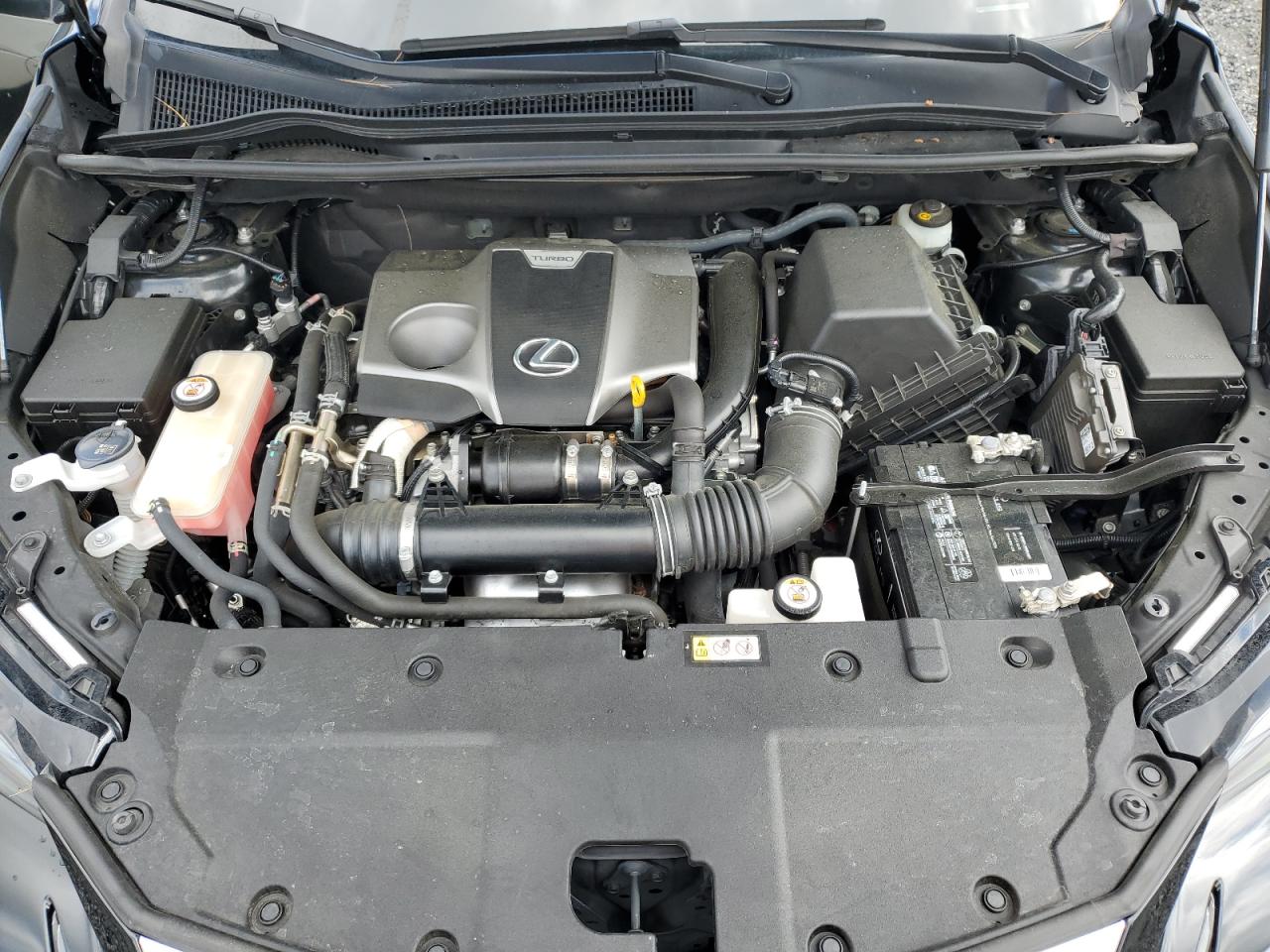 2021 Lexus Nx 300 Base VIN: JTJGARBZ0M2182236 Lot: 56577085