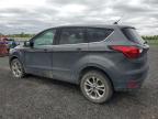 2019 Ford Escape Se იყიდება Ottawa-ში, ON - Hail