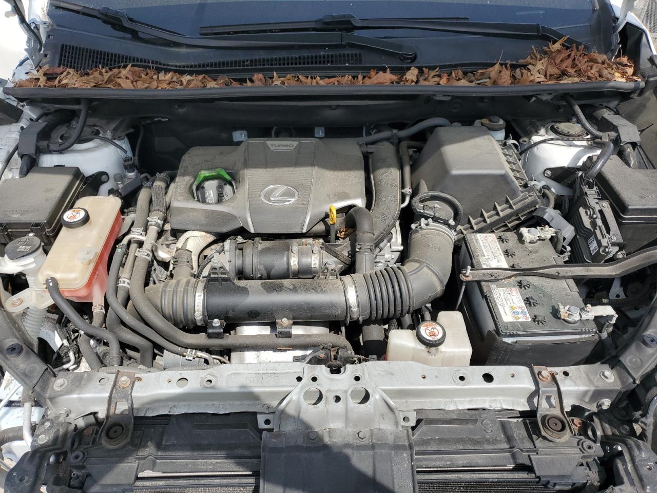 2019 Lexus Nx 300 Base VIN: JTJBARBZ2K2179846 Lot: 58236005