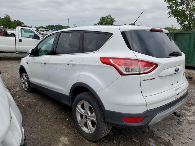 Паркетники FORD ESCAPE 2014 Белый
