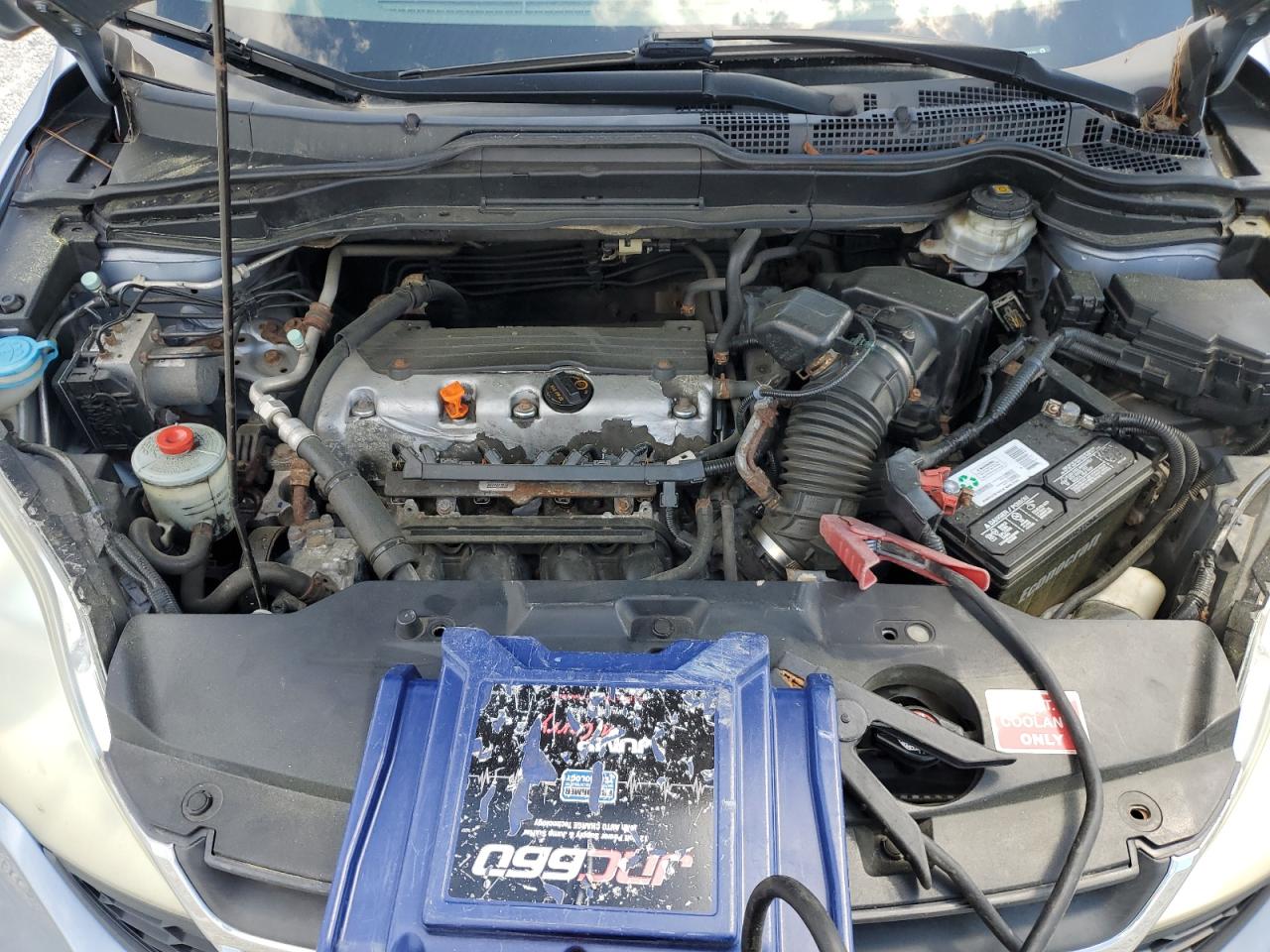 2010 Honda Cr-V Lx VIN: 5J6RE4H39AL803608 Lot: 54206825