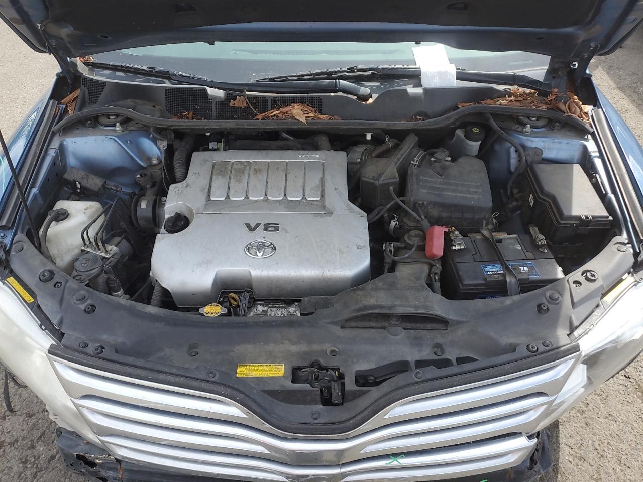 2009 Toyota Venza VIN: 4T3BK11A09U025456 Lot: 55720655