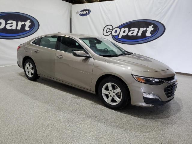  CHEVROLET MALIBU 2023 Gold