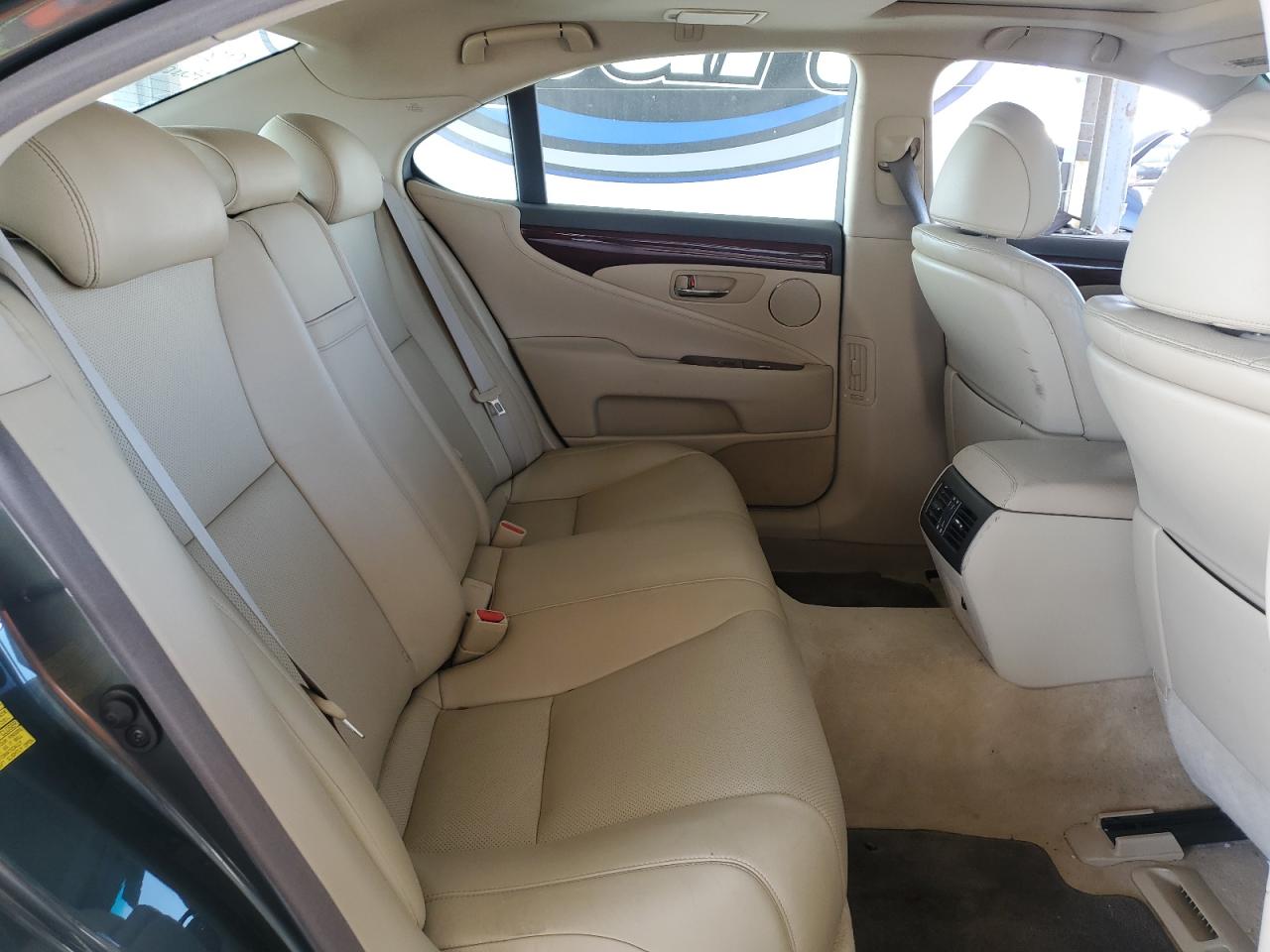 2009 Lexus Ls 460 VIN: JTHBL46F395089032 Lot: 56168925