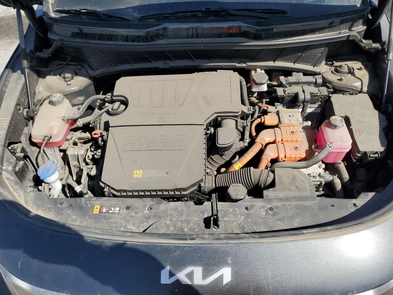 2023 Kia Niro Ex VIN: KNDCR3LE9P5052784 Lot: 56042765
