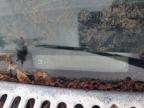 1987 Chevrolet S Truck S10 zu verkaufen in Knightdale, NC - Minor Dent/Scratches