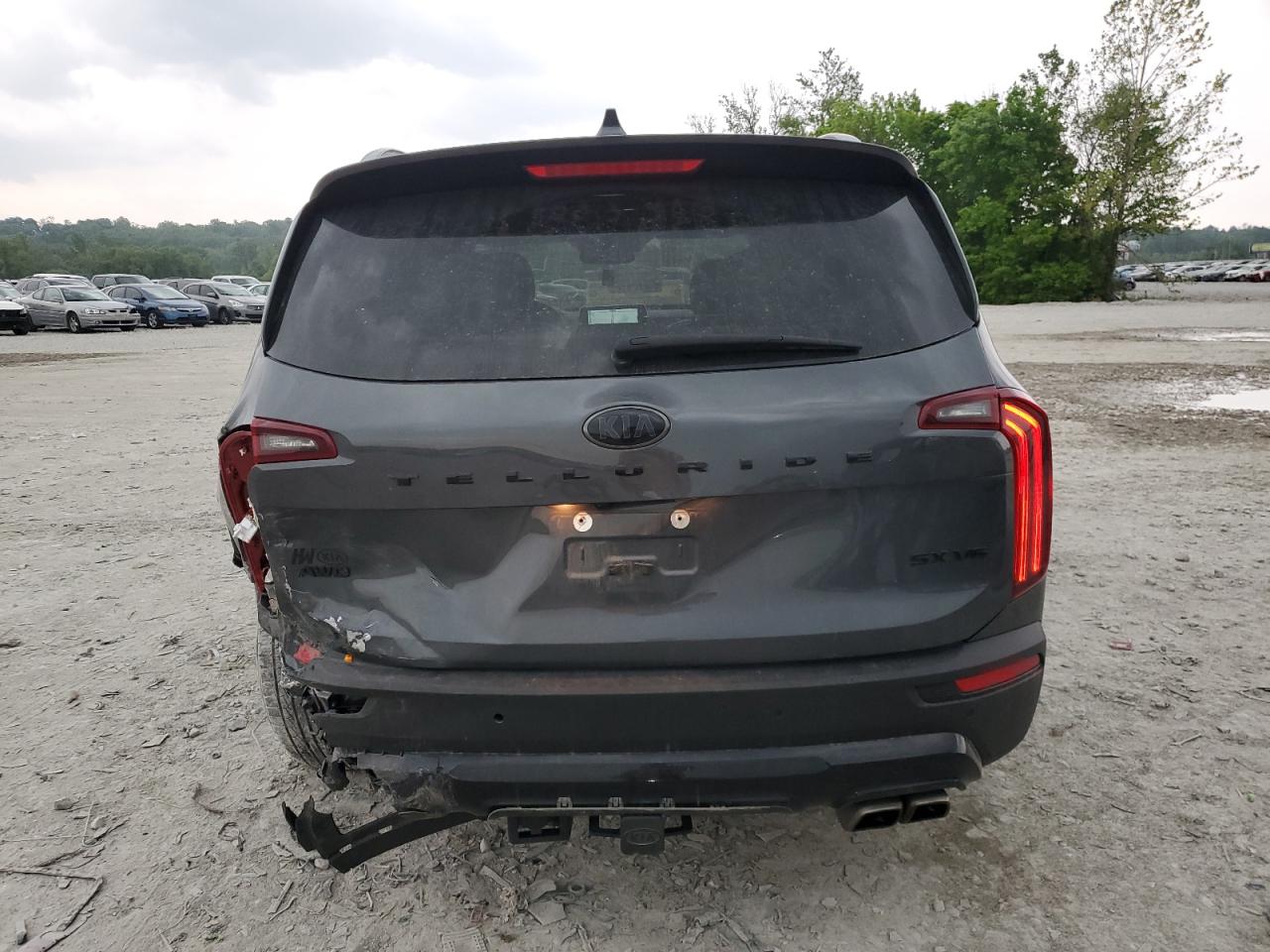 2021 Kia Telluride Sx VIN: 5XYP5DHCXMG151482 Lot: 57262675