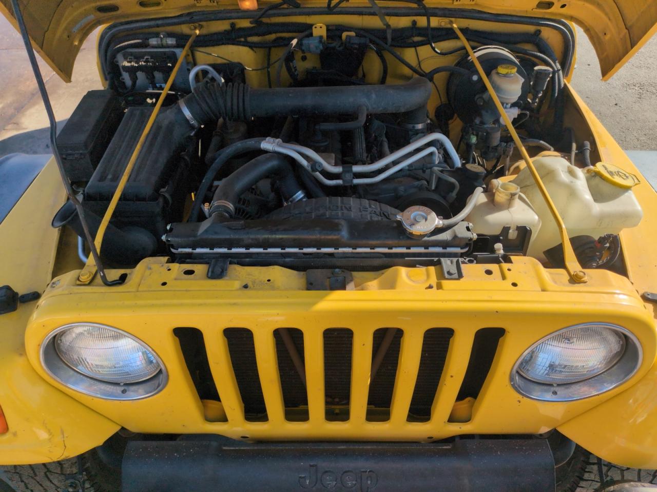 2004 Jeep Wrangler / Tj Sport VIN: 1J4FA49S64P751615 Lot: 55810895