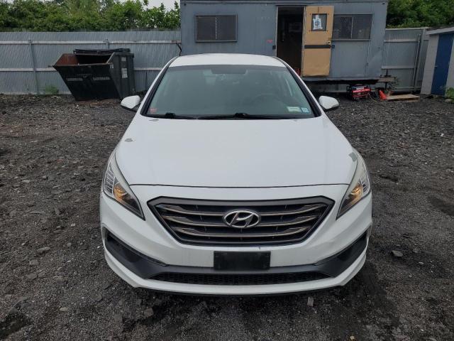  HYUNDAI SONATA 2016 Белый