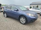 2012 Honda Cr-V Ex en Venta en Louisville, KY - Rear End
