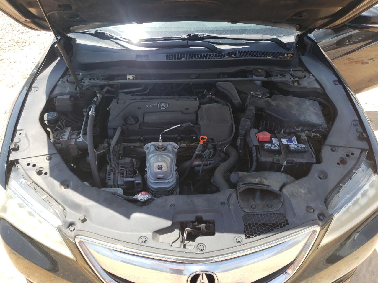 2015 Acura Tlx VIN: 19UUB1F37FA023248 Lot: 56684205