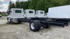 2025 Hino Hino L7  for Sale in Rocky View County, AB - Water/Flood