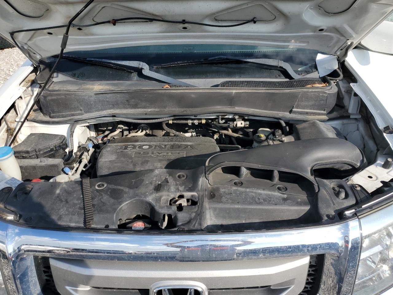 2011 Honda Pilot Exl VIN: 5FNYF4H55BB057839 Lot: 56884725