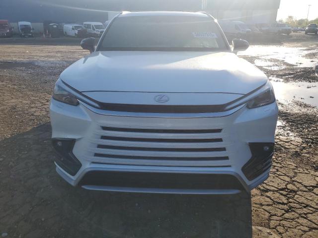 LEXUS TX 500H F 2024 White
