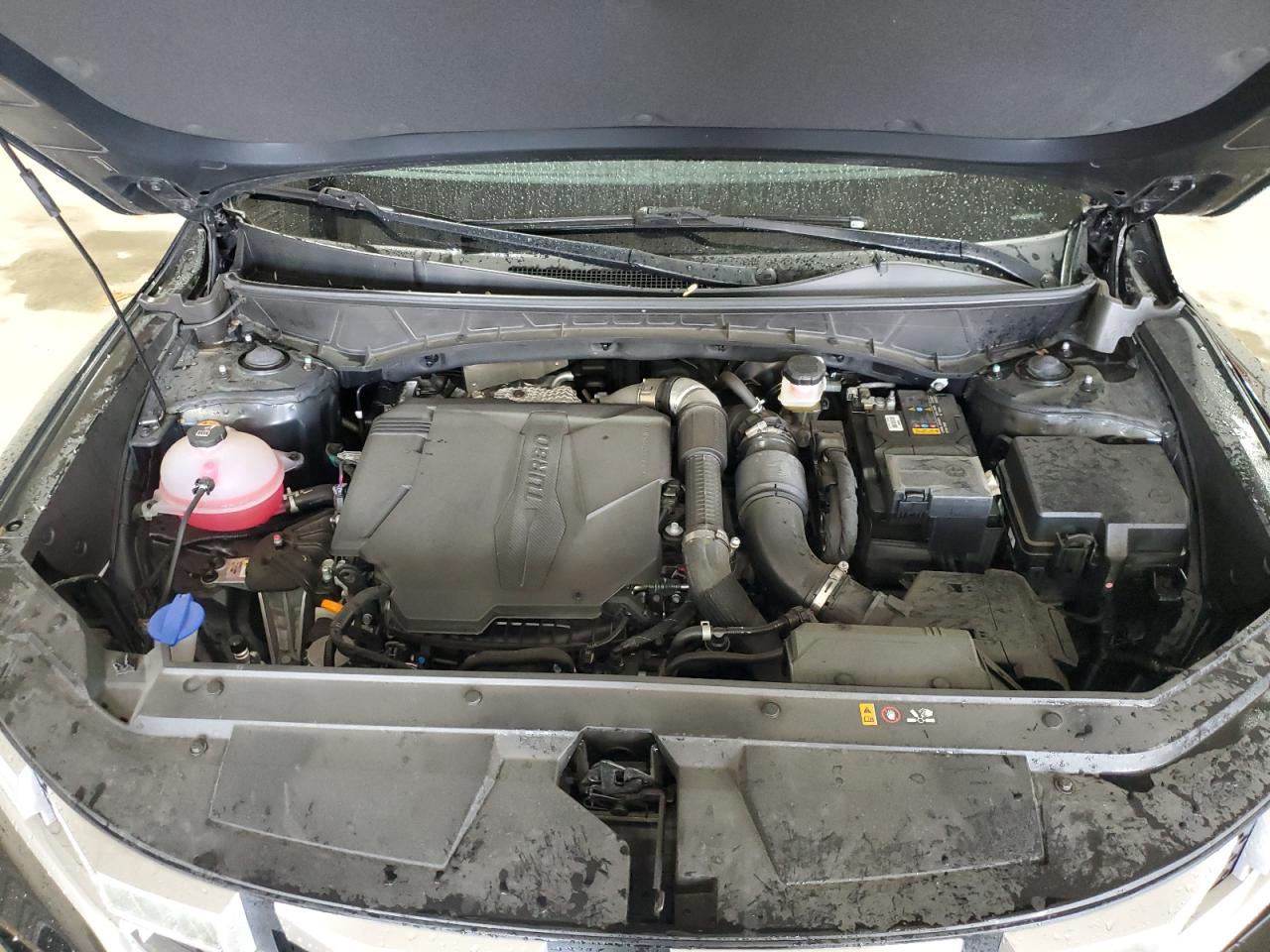 2023 Hyundai Santa Cruz Sel Premium VIN: 5NTJDDAF7PH054395 Lot: 55308615