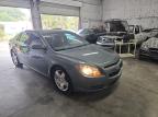 2009 Chevrolet Malibu 2Lt   zu verkaufen in Riverview, FL - Normal Wear