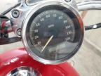2004 Harley-Davidson Xl883 C for Sale in Madisonville, TN - Rear End