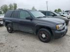 2006 Chevrolet Trailblazer Ls for Sale in Wayland, MI - Side