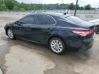 2019 Toyota Camry L en Venta en Louisville, KY - Hail