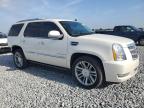 2014 Cadillac Escalade Platinum продається в Arcadia, FL - Rear End