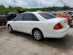 2001 Toyota Avalon Xl na sprzedaż w Louisville, KY - Hail
