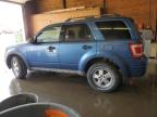 2009 Ford Escape Xlt for Sale in Ebensburg, PA - Rear End