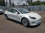 2023 Tesla Model 3    zu verkaufen in Miami, FL - Rear End