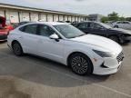2023 Hyundai Sonata Hybrid للبيع في Louisville، KY - Hail