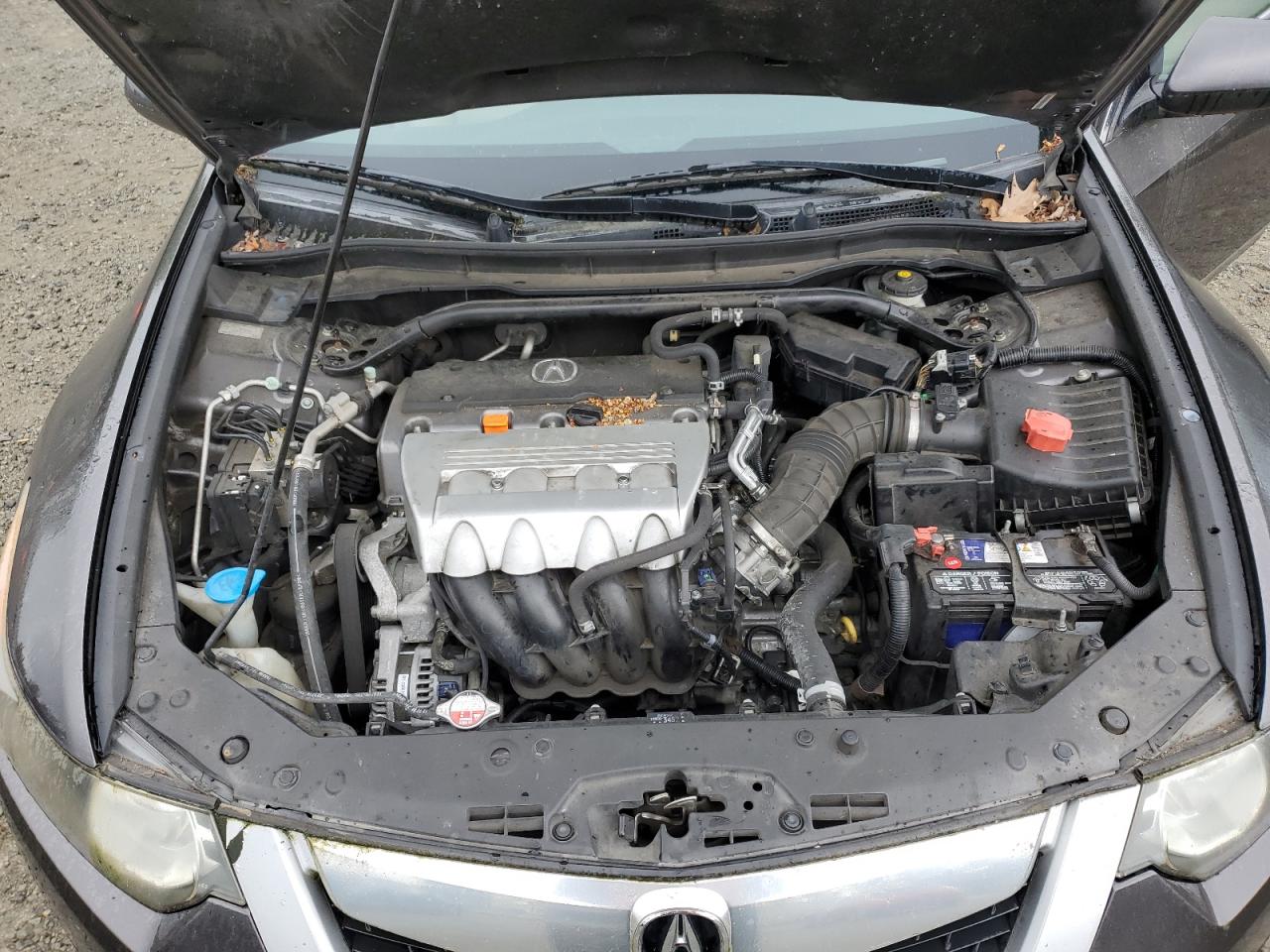 2009 Acura Tsx VIN: JH4CU26609C007324 Lot: 53918455