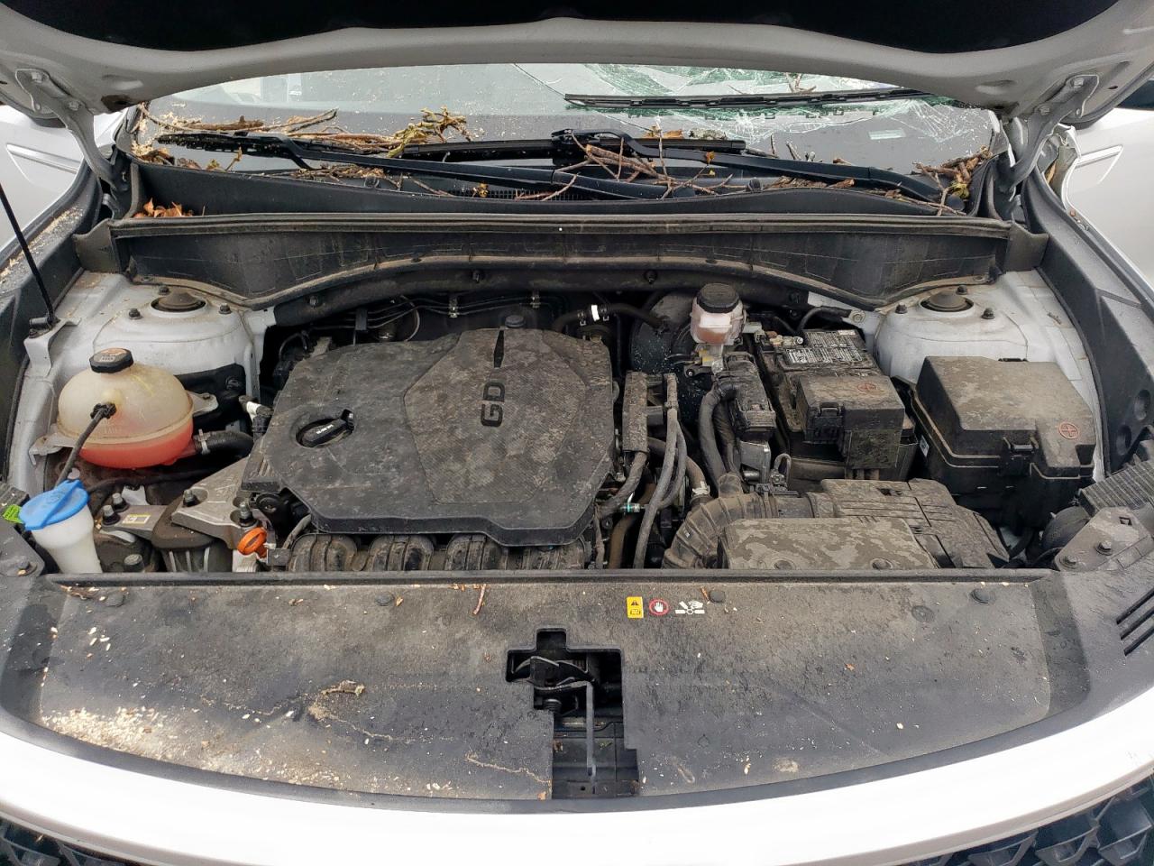 2022 Kia Sorento Lx VIN: 5XYRG4LC4NG099343 Lot: 58846855