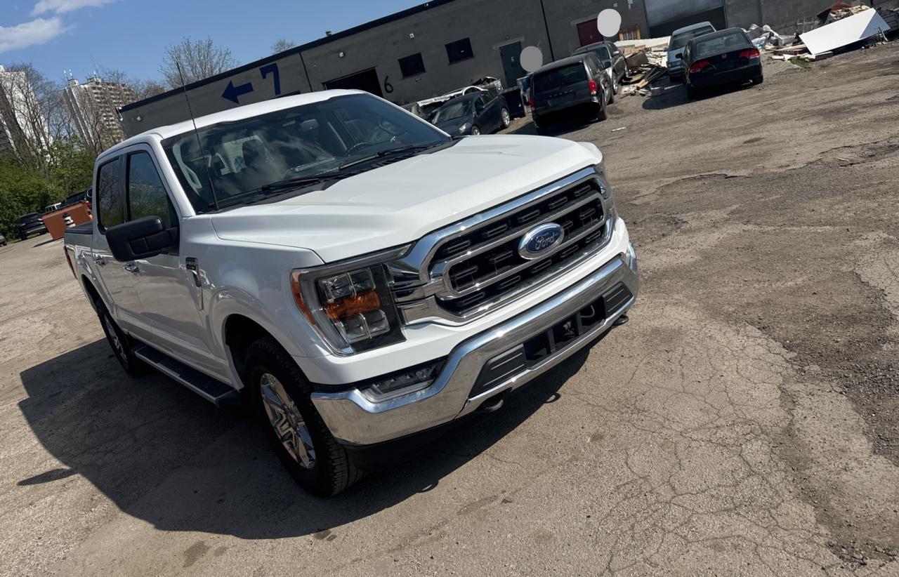 2023 Ford F150 Supercrew for Sale in Cookstown, ON - Normal Wear