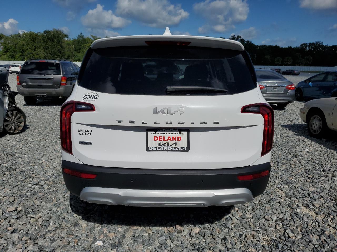 2022 Kia Telluride Lx VIN: 5XYP2DHC0NG309256 Lot: 57092545