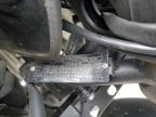2023 Other Motorcycle 250Cc en Venta en Brookhaven, NY - Rear End
