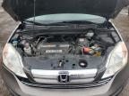 2009 Honda Cr-V Exl for Sale in Brighton, CO - Rear End