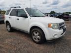 2012 Ford Escape Xlt for Sale in Hillsborough, NJ - Minor Dent/Scratches