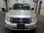 2010 Ford Escape Xlt for Sale in Ham Lake, MN - Rear End