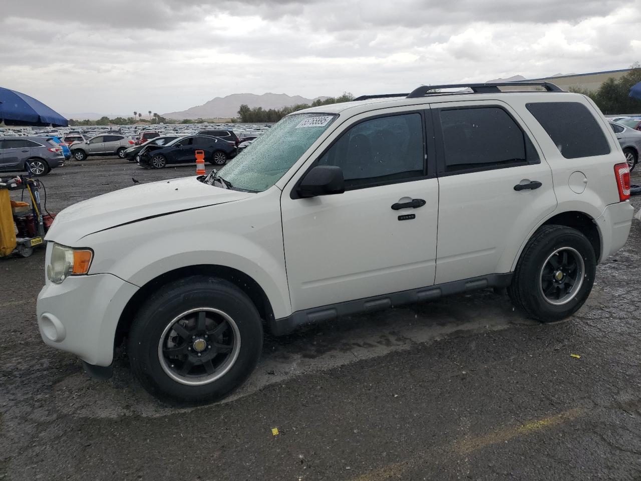 2010 Ford Escape Xlt zu verkaufen in Las Vegas, NV - Front End