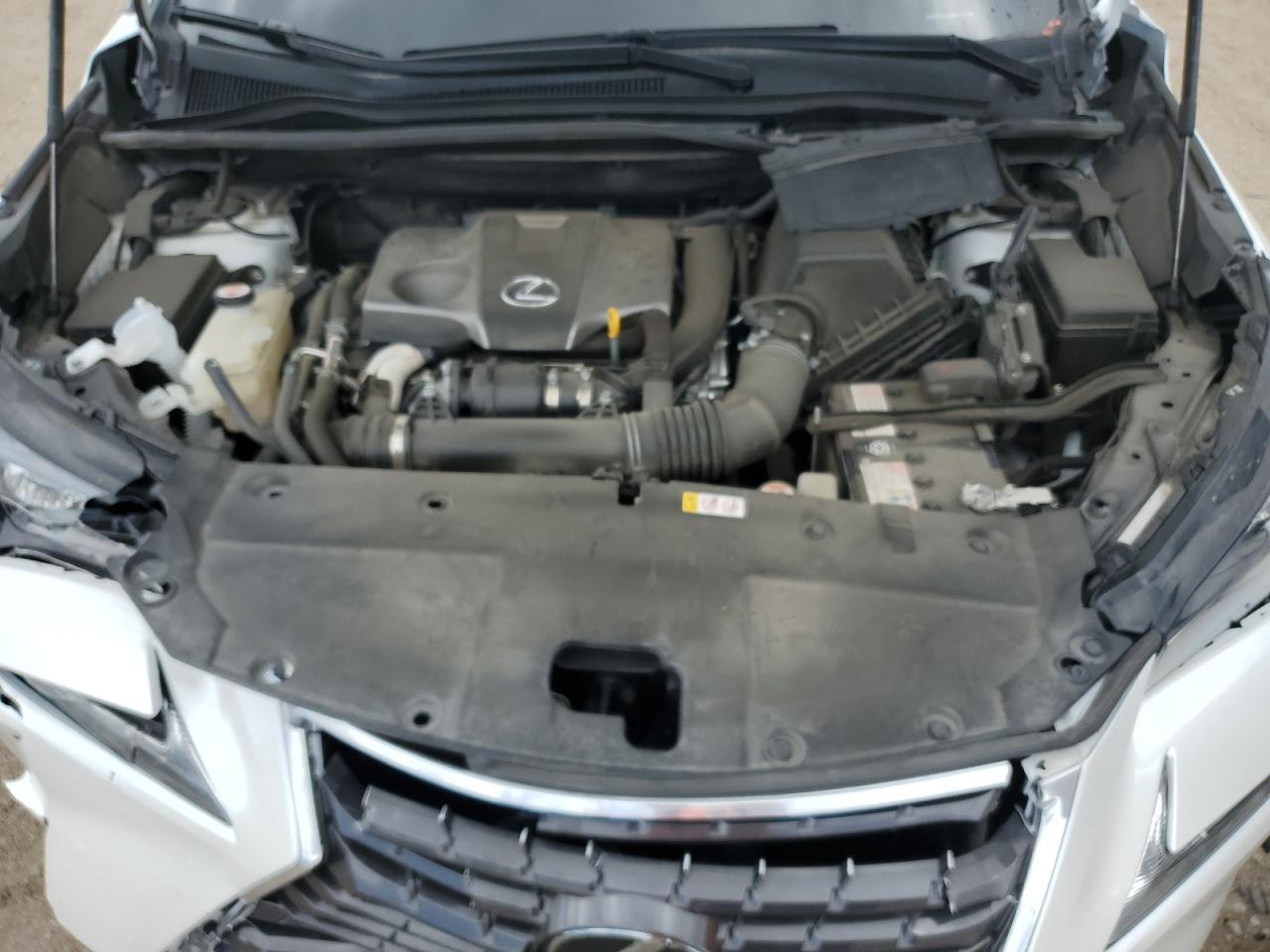 2020 Lexus Nx 300 VIN: JTJDARDZ1L5010570 Lot: 58579495
