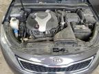 2011 Kia Optima Sx   for Sale in Madisonville, TN - Rear End