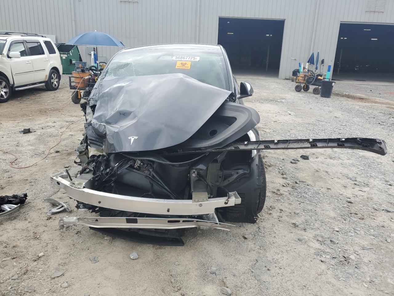 2024 Tesla Model Y VIN: 7SAYGDEE3RF993215 Lot: 56867725