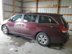 2014 Honda Odyssey Exl for Sale in Lawrenceburg, KY - Hail