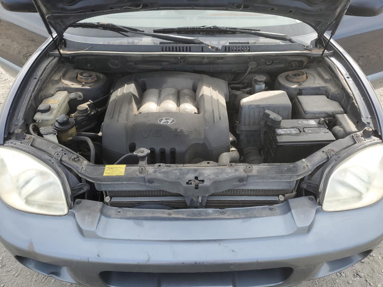 2004 Hyundai Santa Fe Gls VIN: KM8SC73D64U842729 Lot: 56369325