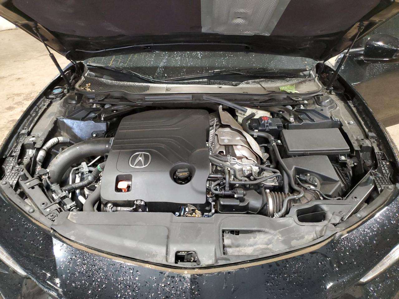 2021 Acura Tlx Type S VIN: 19UUB7F05MA000735 Lot: 55267355