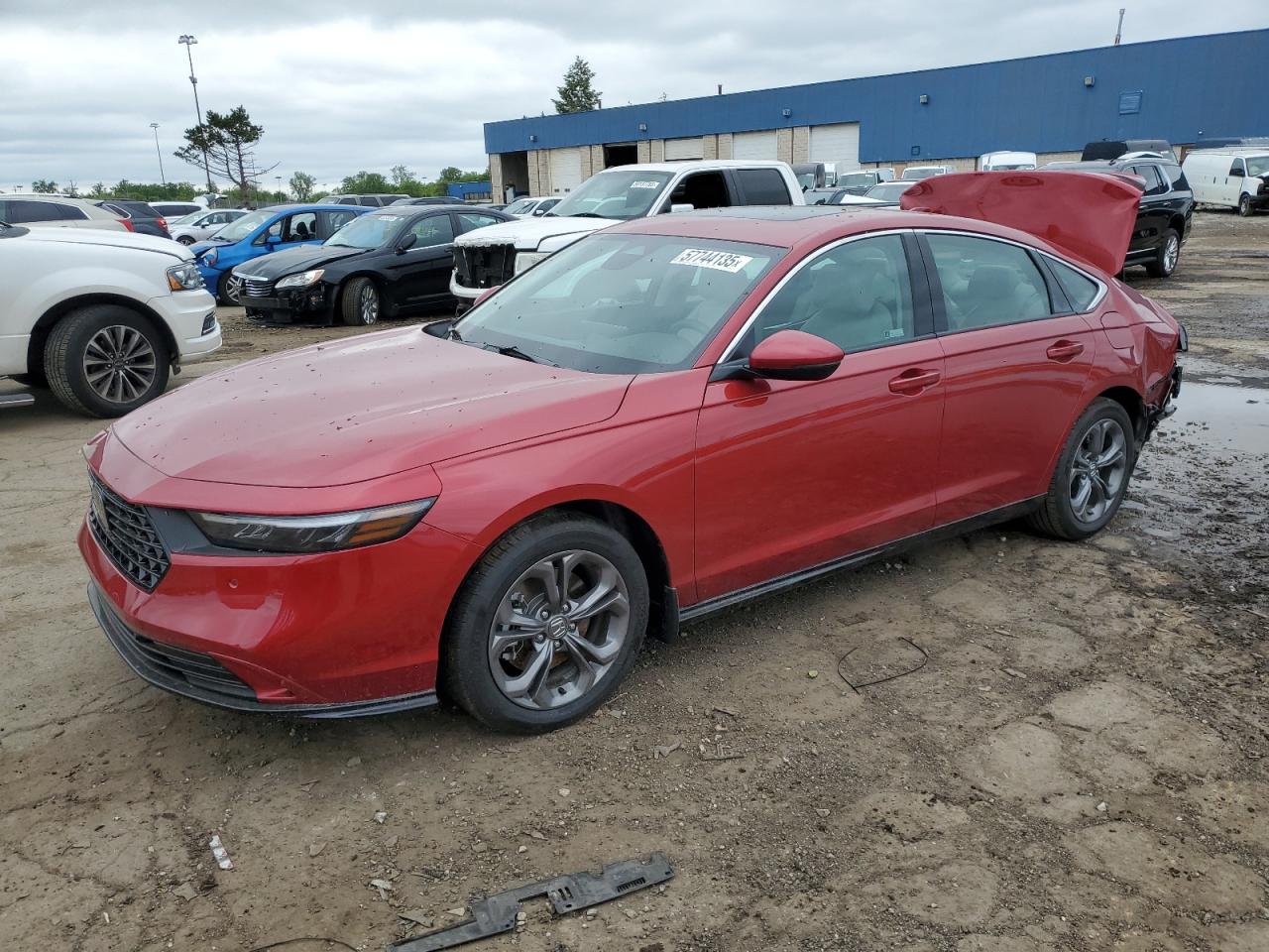 2023 Honda Accord Hybrid Exl for Sale in Woodhaven, MI - Rear End