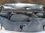 2016 Honda Pilot Exl იყიდება San Antonio-ში, TX - Hail