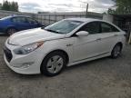 2011 Hyundai Sonata Hybrid на продаже в Arlington, WA - Rear End