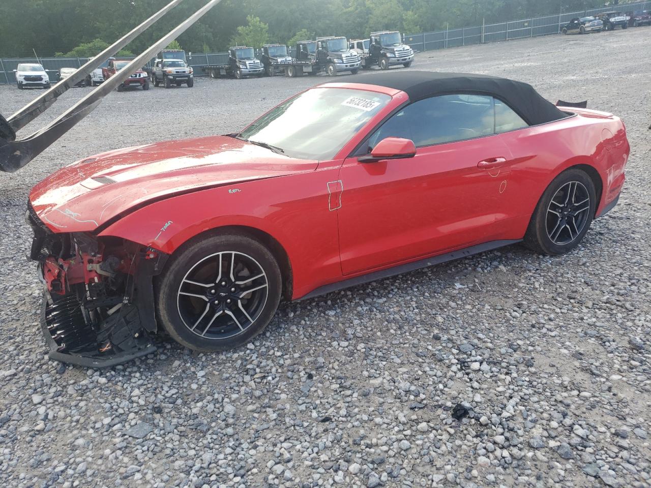 2020 Ford Mustang for Sale in Madisonville, TN - Front End