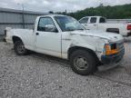 1991 Dodge Dakota  na sprzedaż w Prairie Grove, AR - Rear End